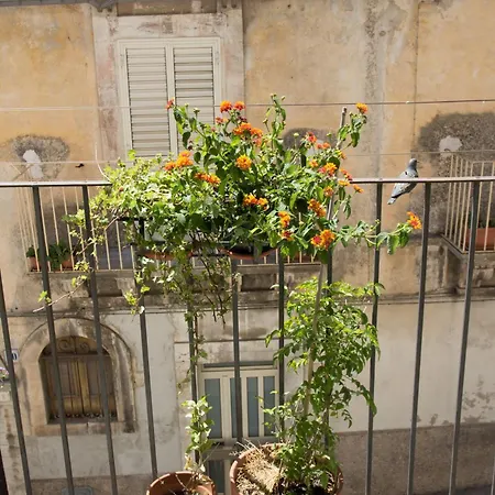 Casa Dafni Apartment Ragusa